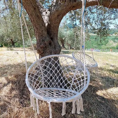 Ferranti Abruzzo 农家乐