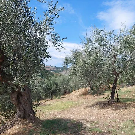 Ferranti Abruzzo Фермерский дом