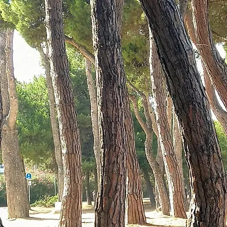 Ferranti Abruzzo 农家乐