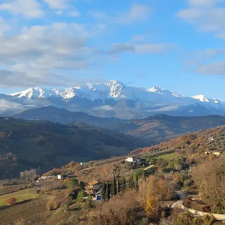 Ferranti Abruzzo *