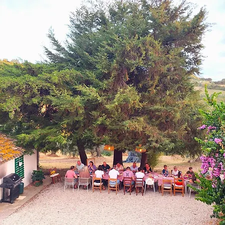 Ferranti Abruzzo * Montefino