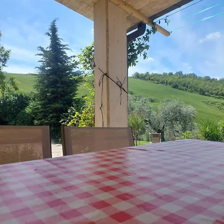 Ferranti Abruzzo *