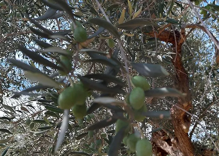Agroturismo Ferranti Abruzzo