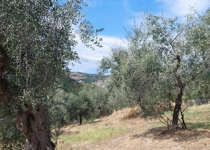 Ferranti Abruzzo Agroturismo