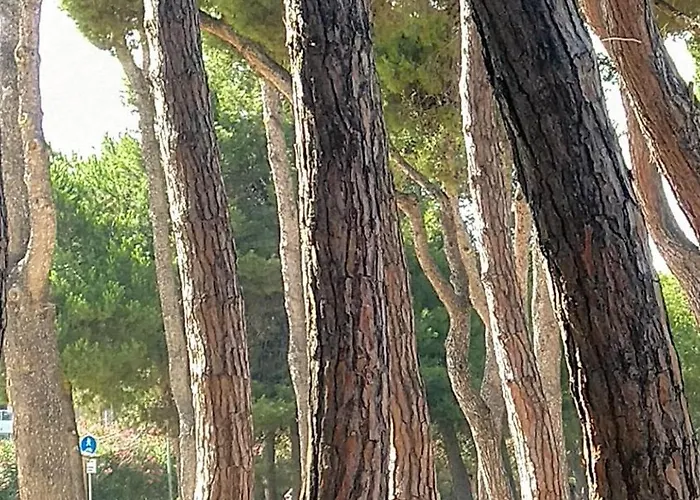 Ferranti Abruzzo Κατάλυμα σε φάρμα