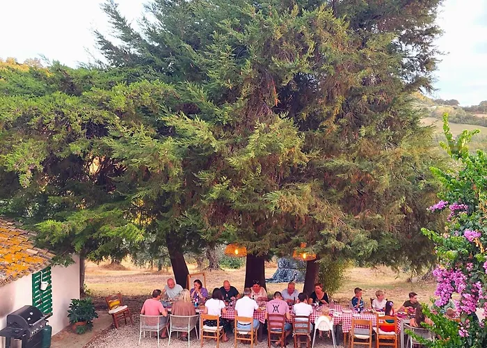 Ferranti Abruzzo * Montefino