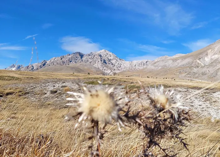 Ferranti Abruzzo Agroturismo *
